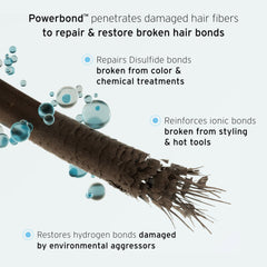 Fekkai PowerBond Mist heat protection shield surrounds strands during styling.