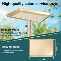 Findabetter champagne gold salon tray rolling design supports organized workflows in busy environments.