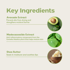 FRUDIA Avocado Cica Relief balm-ingredients close-up highlighting avocado, shea, and centella.