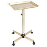 FWOD BIBTO salon tray champagne gold finish for sleek organization and quick access