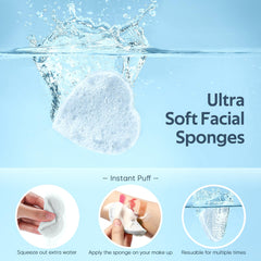 GAINWELL close-up sponge texture shows soft porous surface for exfoliation