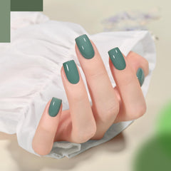 GAOY six-color palette swatch highlights versatile nail art tones