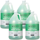 Ginger Lily Farms Club & Fitness body wash bottle showcasing creamy lather for daily cleansing.
