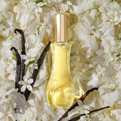 Giorgio Beverly Hills For Women packaging view suggests premium presentation for gifting.