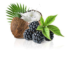 GIOVANNI 2chic Berry-Coconut Milk ingredient depiction for nourishing hair repair