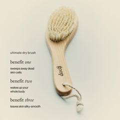 Goop Beauty Dry Brush natural sisal fibers gently slough away
