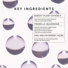 Gua sha tool beside HERBIVORE serum bottle to highlight routine glow.