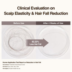 Hesul Scalp Ampoule ingredients including beer yeast and kukui oil for scalp care.