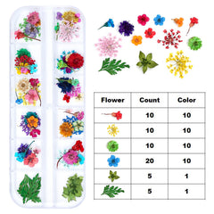 iFancer hand-picked petals highlight premium quality for resin jewelry and nail art