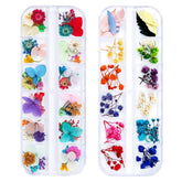 iFancer dried flowers for nails close-up with vibrant hues ideal for resin nail art inspiration.