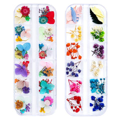 iFancer dried flowers for nails close-up with vibrant hues ideal for resin nail art inspiration.