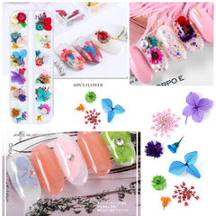 iFancer dried flowers for nails resin use, perfect for tiny inlaid petal accents on nails.