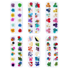 iFancer dried flowers for resin nail art pack displays vibrant colors for creative projects