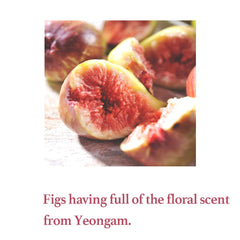 I'm from Fig Scrub Mask jar closeup shows creamy, exfoliating texture.