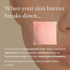 I'm from Rice Bran Oil ceramide supporting skin barrier and moisture