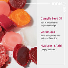 Innisfree lip balm trio swatches showing buildable color and dewy finish.