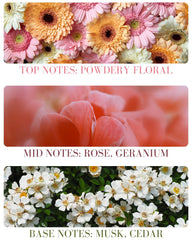 Kailuna Co rose-geranium-ylang-ylang note detail highlights gentle floral aroma