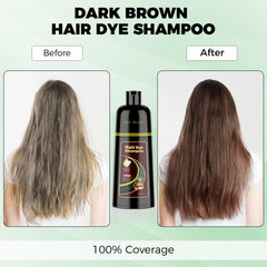 KAISASA gray hair coverage visual showing full gray coverage potential