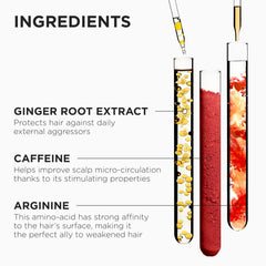 Kérastase Genesis serum applied on scalp demonstrates targeted strengthening.