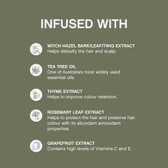 Kevin.Murphy Maxi.Wash Tea Tree ingredient highlight for scalp refresh and residue removal.