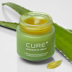 Kim Jeong Moon Aloe Cure Intensive 2X Cream tube on display, offering deep hydration for dry skin.