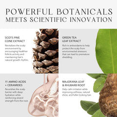 KIWABI Root Beauté quick-absorb formula leaves no greasy residue.