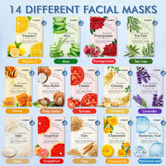 KONEUK all-skin-types collection conveys balanced, nourished skin potential.