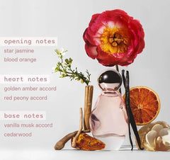 Kylie Cosmic EDP pour captures luminous notes for on-the-go scent moments