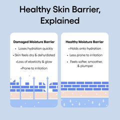 Laneige Water Bank Blue Hyaluronic Squalane highlights skin-friendly moisture