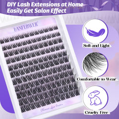 Lanflower C-curved lashes highlighting wispy, eye-enhancing results