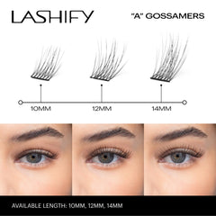Lashify Amplify 12mm Gossamer lash bundle arranged for quick DIY refill.