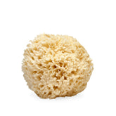 LATHER natural sea wool sponge closeup shows soft lather for gentle cleansing