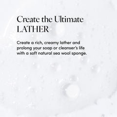 LATHER sea wool sponge ethically harvested for eco-friendly exfoliation and gentle cleansing