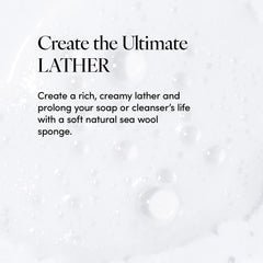 LATHER sea wool sponge with soap lather illustrating effective cleansing without harsh chemicals.