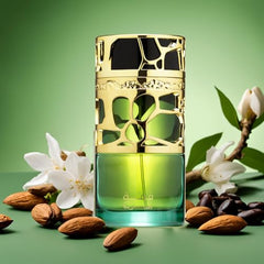Lattafa Qimmah base notes cedar oudh visualization for refined finish