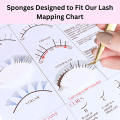 LEES A.M. beginner training kit sponges designed by a lash artist