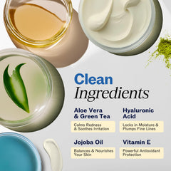 LilyAna Naturals retinol face cream on neck for firmer-looking skin.