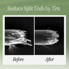 LONGTAKE Sandalwood Treatment fragrance shot highlighting woody aroma benefit.