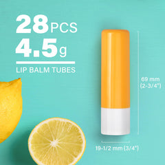 LotFancy 4.5ml lip balm tube demonstrates compact size for pockets.