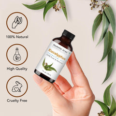 Majestic Pure eucalyptus oil in diffuser creates a cool, refreshing atmosphere.