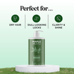 Maple Holistics rosemary-oil clarifying image highlights scalp refreshment.