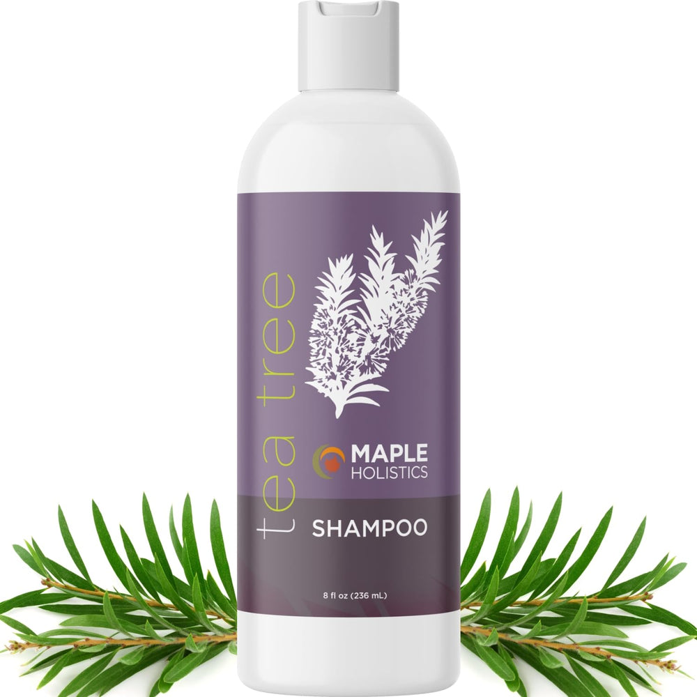 Maple Holistics Tea Tree Shampoo bottle clarifies oily hair for buildup-free scalp.