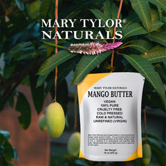 Mango butter on skin application melting with body heat