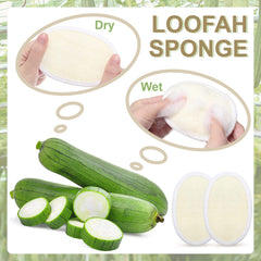 Meanplan loofah pad in scrub action for refreshing body cleanse