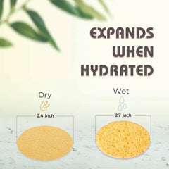 Miaform travel-friendly compressed sponges for on-the-go cleansing