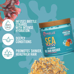 Mielle Organics Sea Moss Gel Masque jar texture highlights creamy hydration for detangling