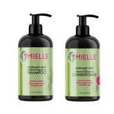 Mielle Rosemary Mint Shampoo bottle close-up showing biotin fortification for stronger hair.