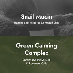 MIZON 12 natural extracts graphic with centella, raspberry, mugwort soothing skin