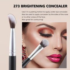 MOGILAN Kitten Paw cream concealer brush for smooth application