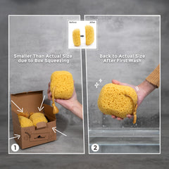 myHomeBody bath sponge durable construction resists crumbling